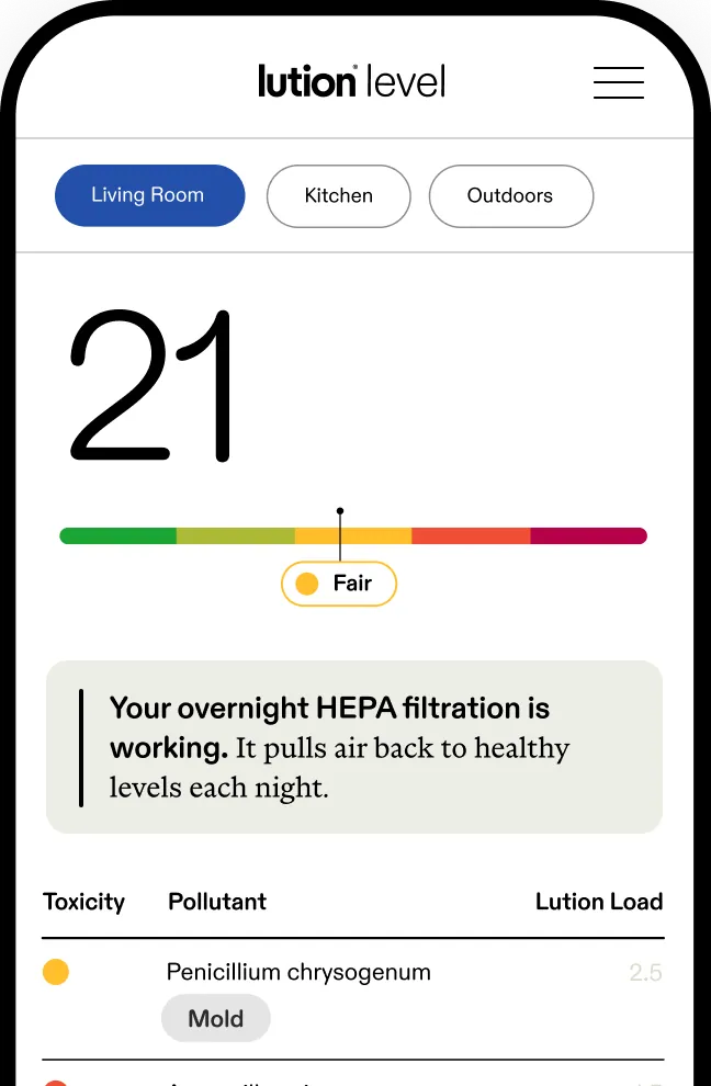 The Lution app feed showing your Lution Level
