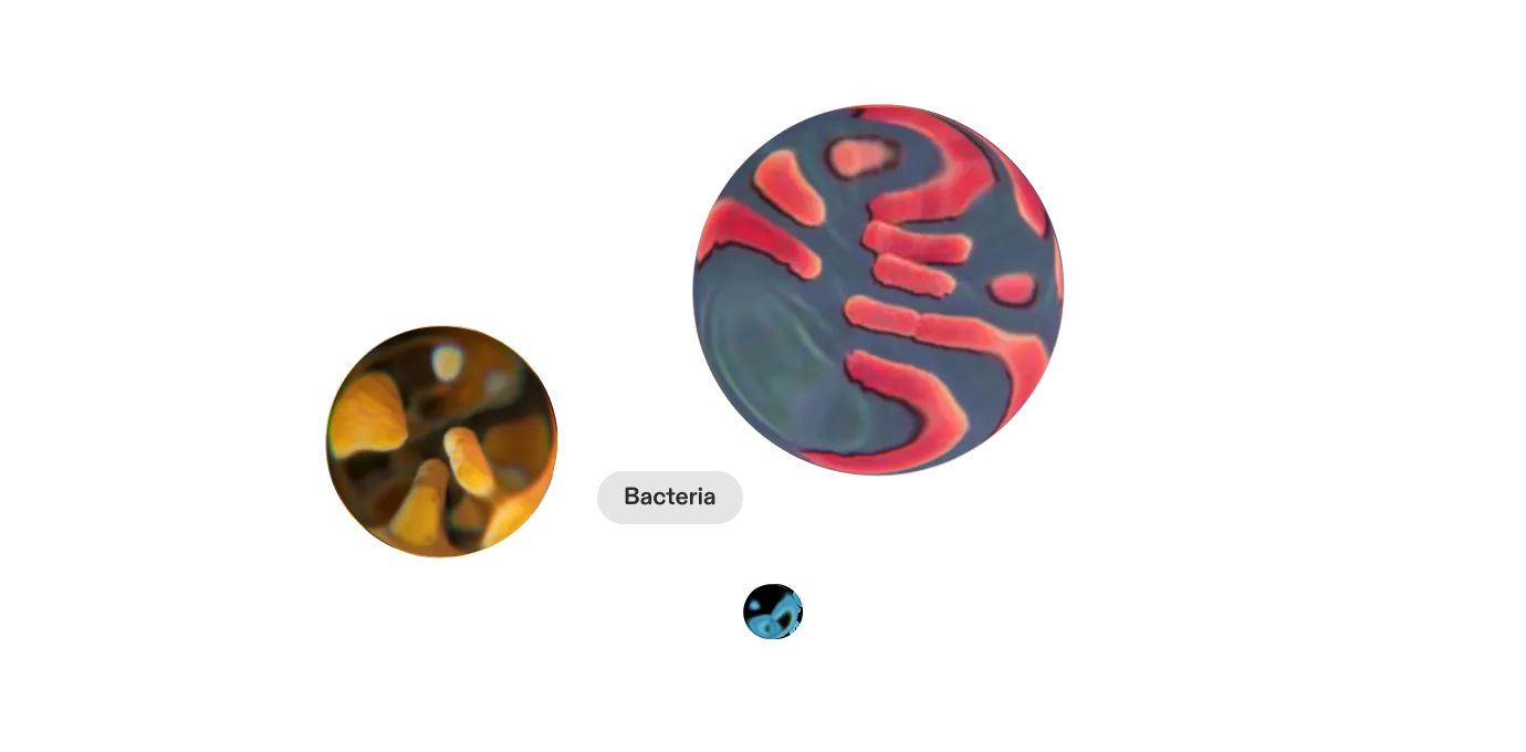 Bacteria — an entire kingdom of contaminants that standard testing ignores
